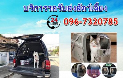 รับเส่งสัตว์เลี้ง